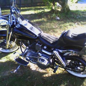 Meet your Posher, Jerry